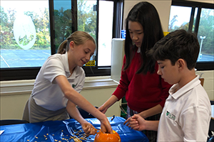 STEAM Pumpkin Observation in 6th Grade